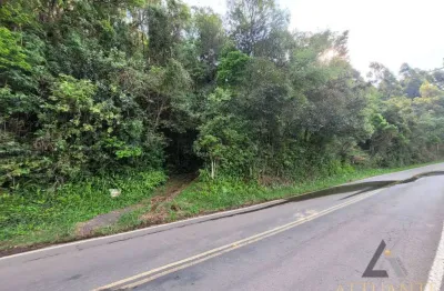 Terreno à venda na Nossa Senhora da Saúde, Caxias do Sul 