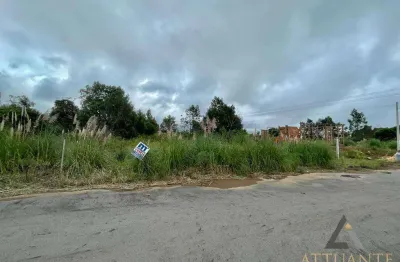 Terreno à venda no Diamantino, Caxias do Sul 