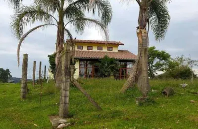 Chácara / sítio com 3 quartos à venda no Santa Lúcia do Piaí, Caxias do Sul 