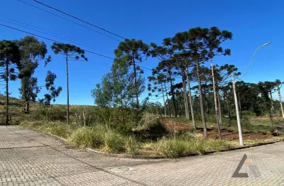 Terreno à venda na Ana Rech, Caxias do Sul 