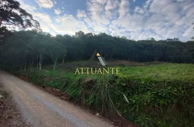 Chácara / sítio à venda na Nossa Senhora das Graças, Caxias do Sul 