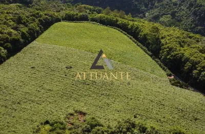 Chácara / sítio à venda na Vila Cristina, Caxias do Sul 