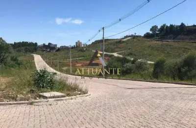 Terrenos no bairro são ciro | vale dos pinhais - loteamento residencial