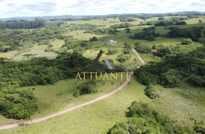 Chácara / sítio com 4 quartos à venda na Vila Seca, Caxias do Sul 