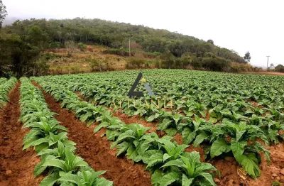 Oportunidade preço abaixo do mercado - área de 12 hectares mariana pimentel