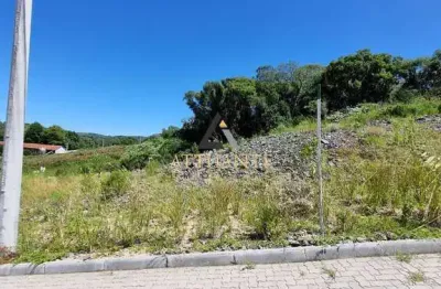 Terreno à venda no Desvio Rizzo, Caxias do Sul 