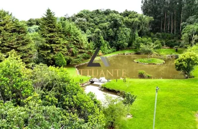 Chácara / sítio com 5 quartos à venda na Fazenda Souza, Caxias do Sul 