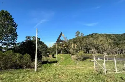 Chácara / sítio à venda na Fazenda Souza, Caxias do Sul 