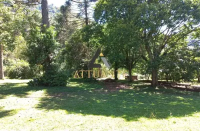 Oportunidade única: linda propriedade rural em campestre da serra