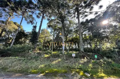 Terreno 455 m² no bairro bela vista – caxias do sul