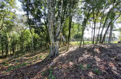 Terreno à venda no Pedancino, Caxias do Sul 