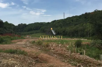 Terreno comercial à venda no Linha 40, Caxias do Sul 