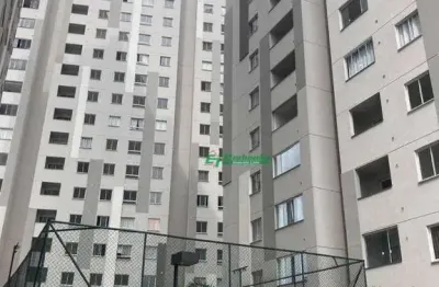 Lindo apartamento 2 dormitorios shopping internacional