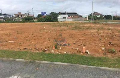 Terreno à venda, 200 m² por r$ 180.000,00 - praia do sonho (ens brito) - palhoça/sc