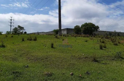 Terreno à venda, 9878 m² por r$ 1.700.000,00 - são sebastião - palhoça/sc