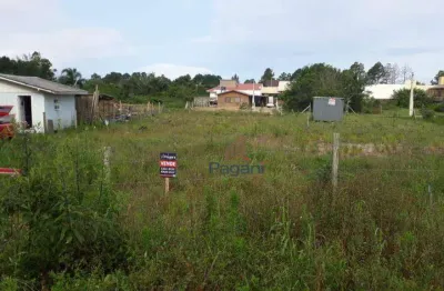 Terreno à venda, com escritura pública 896 m² por r$ 1.100.000 - pinheira - palhoça/sc