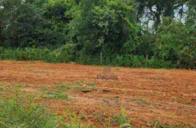 Terreno à venda, 200 m² por r$ 235.000,00 - pacheco - palhoça/sc