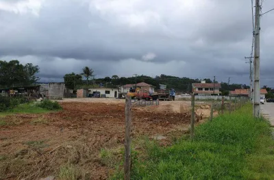 Terreno para alugar, 2682 m² por r$ 5.500,00/mês - aririú - palhoça/sc