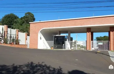 Terreno à venda na Avenida União Pan-americana, 100, Colônia Dona LuÍza, Ponta Grossa