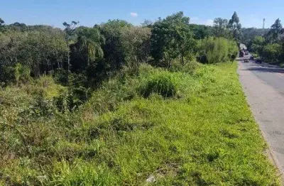 Terreno à venda em jarinu-sp, bairro água preta, 11.570m² de área: oportunidade única!