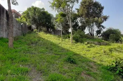 Terreno à venda, 300 m² por r$ 100.000,00 - parque internacional - campo limpo paulista/sp