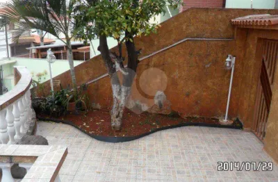 Casa com 3 quartos à venda na Rua São Zeferino, 273, Jardim Franca, São Paulo