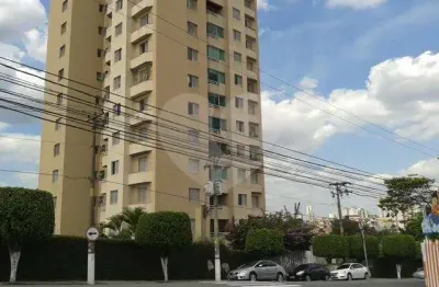 Apartamento com 3 quartos à venda em vila paulicéia - sp