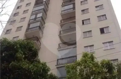 Apartamento com 3 quartos à venda em vila amélia - sp