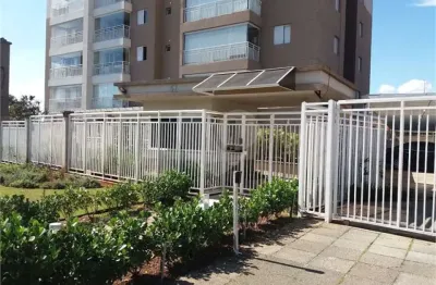 Apartamento com 3 quartos à venda em vila isolina mazzei - sp