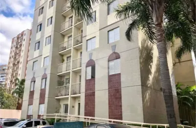 Apartamento com 3 quartos à venda na Rua Alexandre Levi, Cambuci, São Paulo