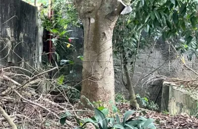 Terreno à venda na Rua do Horto, Horto, São Paulo