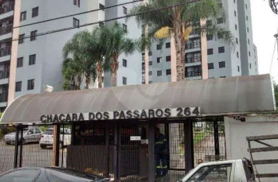 Apartamento com 3 quartos à venda em vila carbone - sp