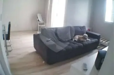 Apartamento com 2 quartos à venda em vila siqueira (zona norte) - sp