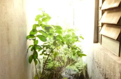 Terreno à venda na Rua Dias da Silva, Vila Maria, São Paulo