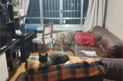 Apartamento com 2 quartos à venda na Antônio César Neto, Jaçanã, São Paulo