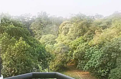 Apartamento com 2 quartos à venda em parque mandaqui - sp