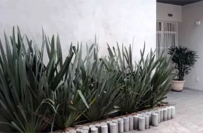 Sobrado com 3 quartos à venda em Jardim São Paulo(zona Norte) - SP