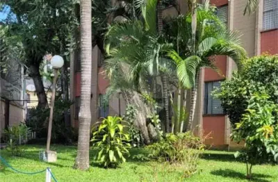 Apartamento com 2 quartos à venda em vila albertina - sp