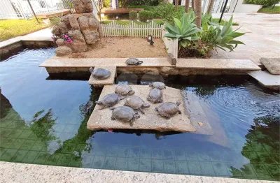 Apartamento com 3 quartos à venda em vila isolina mazzei - sp