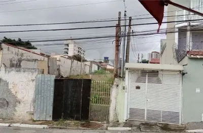 Terreno comercial para alugar na Rua Mira Estrela, Tucuruvi, São Paulo
