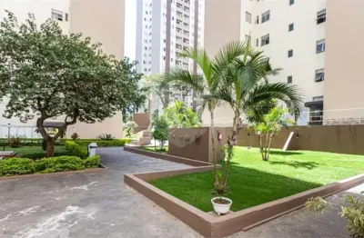 Apartamento com 3 quartos à venda em vila nova cachoeirinha - sp