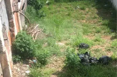 Terreno comercial para alugar na Rua Tomé de Lara, Tucuruvi, São Paulo