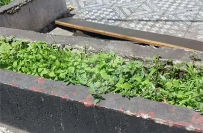 Salão comercial à venda em vila nova conceição - sp