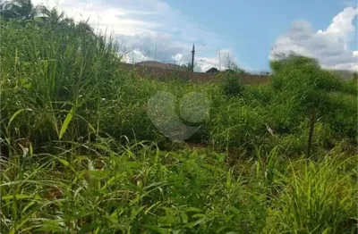 Terreno comercial à venda na Avenida Ede, 779, Vila Guilherme, São Paulo