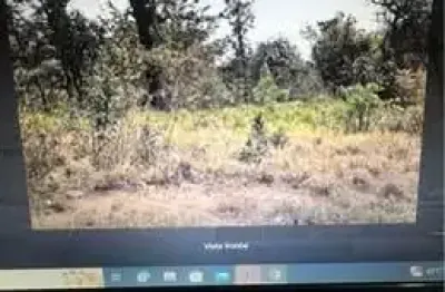 Terreno à venda no Jardim Palomar, Jaraguari 