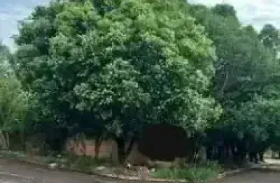 Terreno à venda na Rua São Higino, Bairro Seminário, Campo Grande