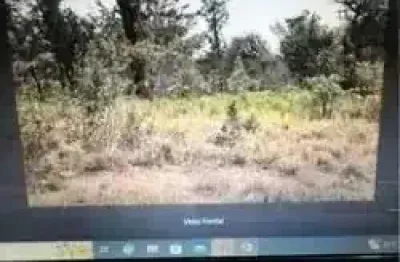 Terreno à venda no Jardim Palomar, Jaraguari 