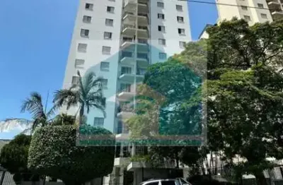 Apartamento a venda na vila santa catarina com 2 dormitórios , 58 m² 1 vaga fixa por r$ 449.000