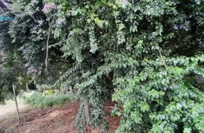 Classe a oferece este terreno à venda, 350 m² por r$ 490.000,00 - joão pinheiro - belo horizonte/mg