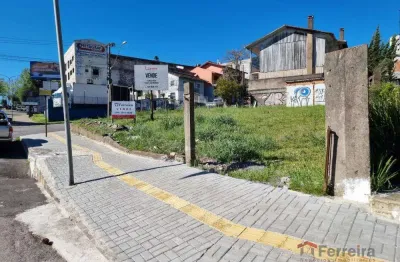 Terreno à venda no Petrópolis, Caxias do Sul 